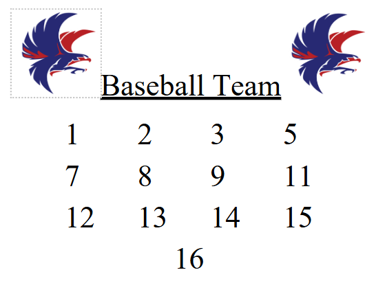2024-25 Baseball Team